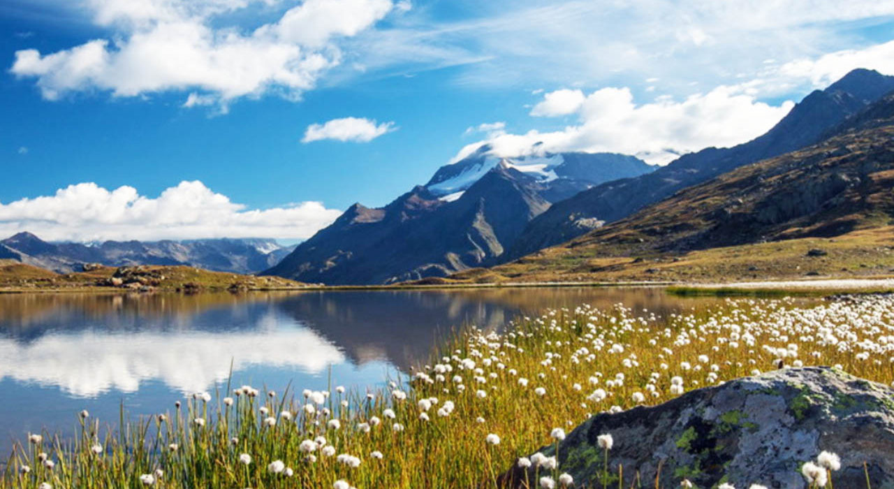 VALTELLINA