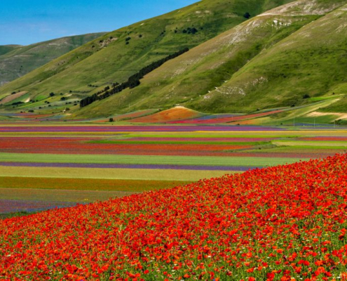 CASTELLUCCIO