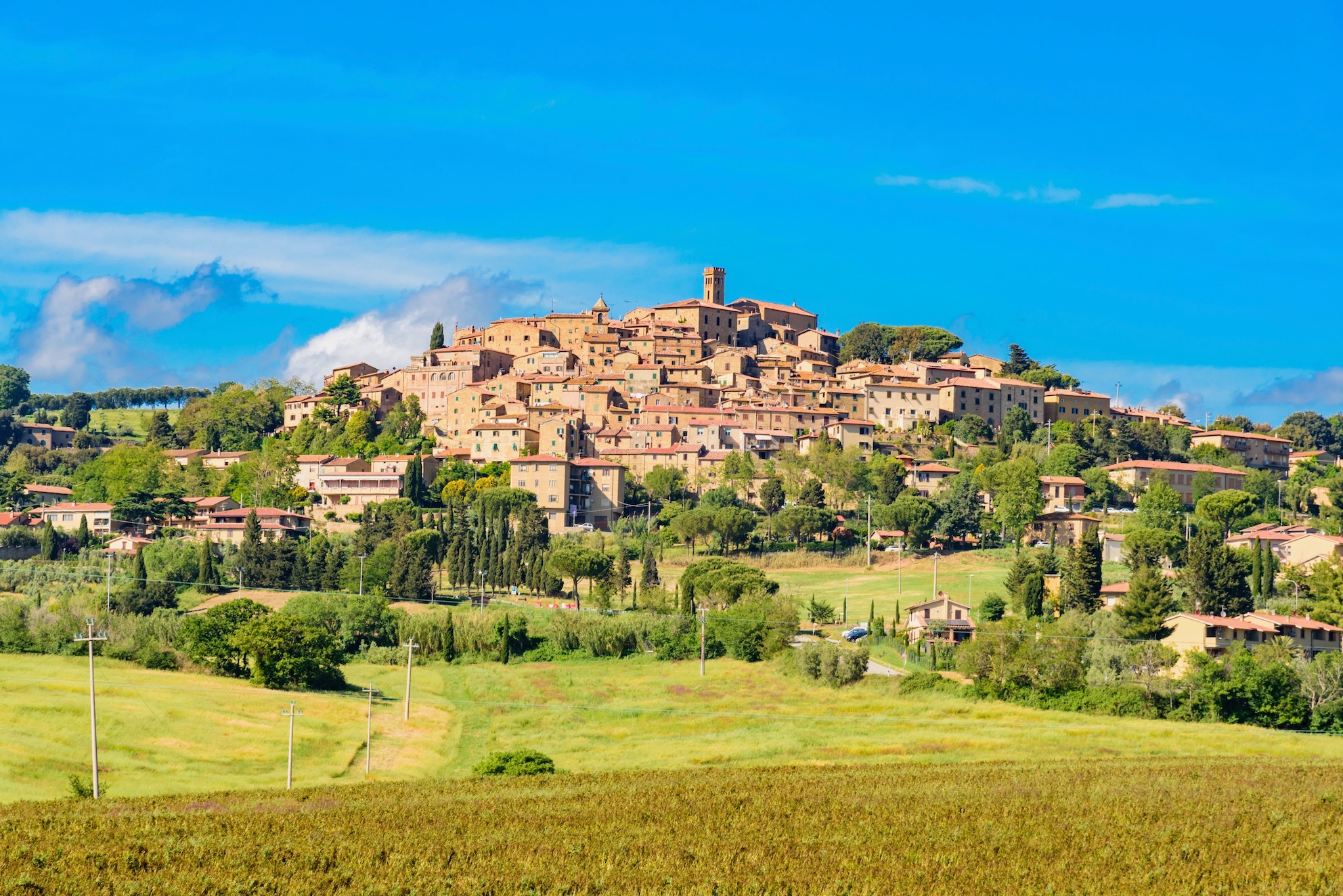 castagneto carducci